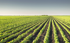 Industry Voice: The Big Mac on Fixed Income Opportunities