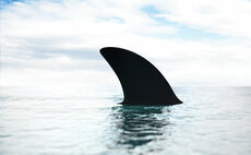 Magellan AP: 2022 a 'tipping point' for asset managers to find a niche or get left behind